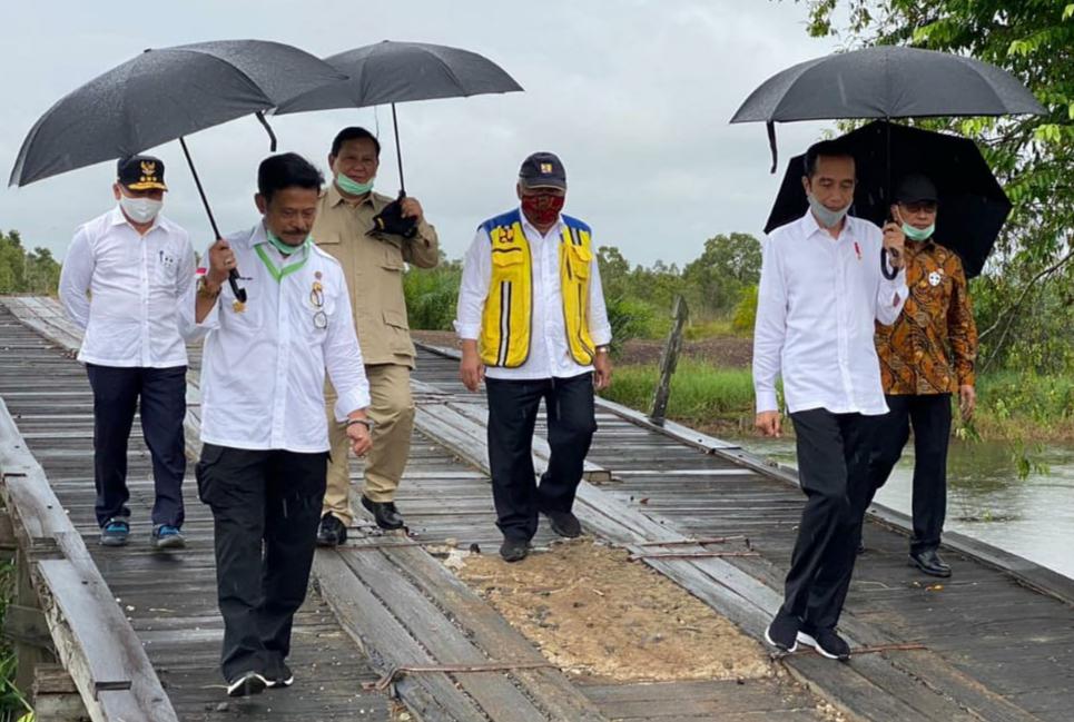  Meski Hujan, Presiden dan Mentri Serta Gubernur Kalteng Semangat Tinjau Lahan Food Estate