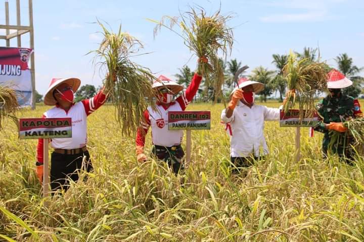  Bupati Pulpis Apresiasi Dukungan TNI dan POLRI Terhadap Pengembangan Food Estate