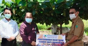 Bank Kakteng Cabang Pulang Pisau