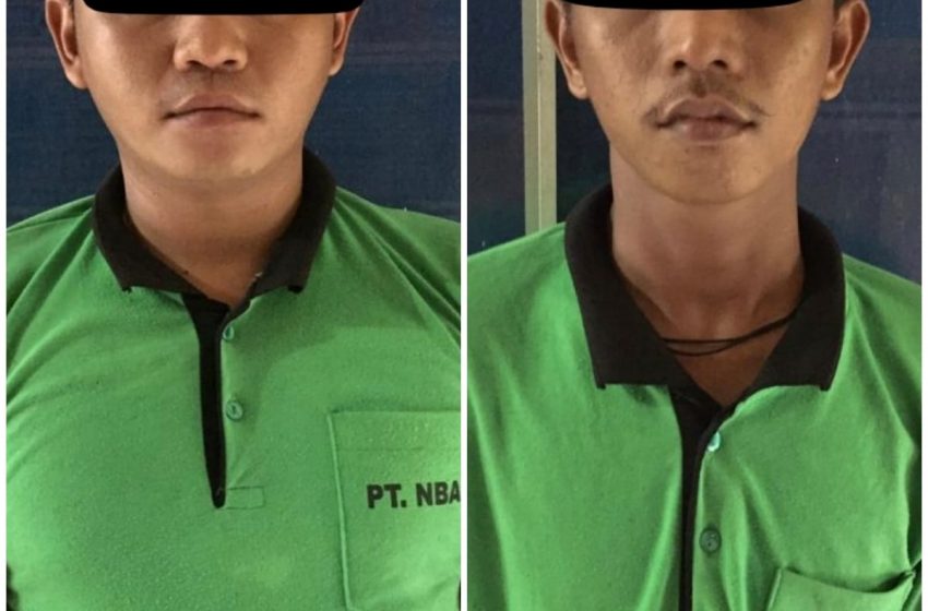 Diduga Melakukan tindak pidana Pencurian, 2 Karyawan Pabrik Diamankan Polisi 