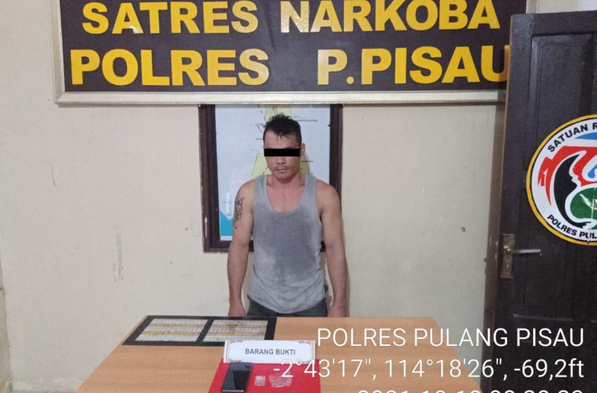  Diduga Mengedarkan Shabu, Warga Pahawan Diamankan Satreskoba Polres Pulpis