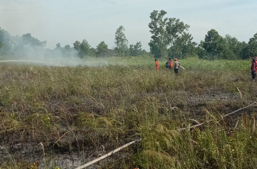  Dewan Minta Pemkab Siaga Antisipasi Karhutla