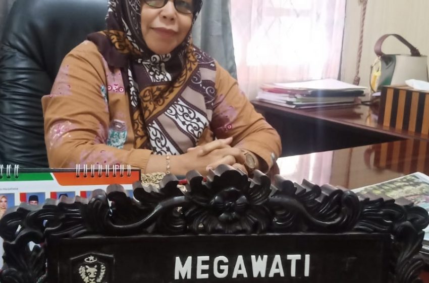  Dewan Minta APH Tingkatkan Penjagaan di Telawang