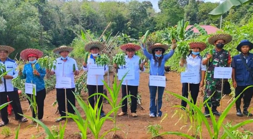  Pengelolaan Ketahanan Pangan Lokal Perlu Edukasi dan Sosialisasi