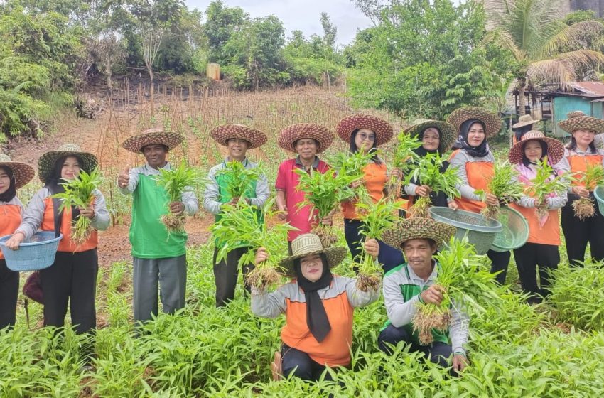  Manfaatkan Lahan Pekarangan Rumah Secara Mandiri