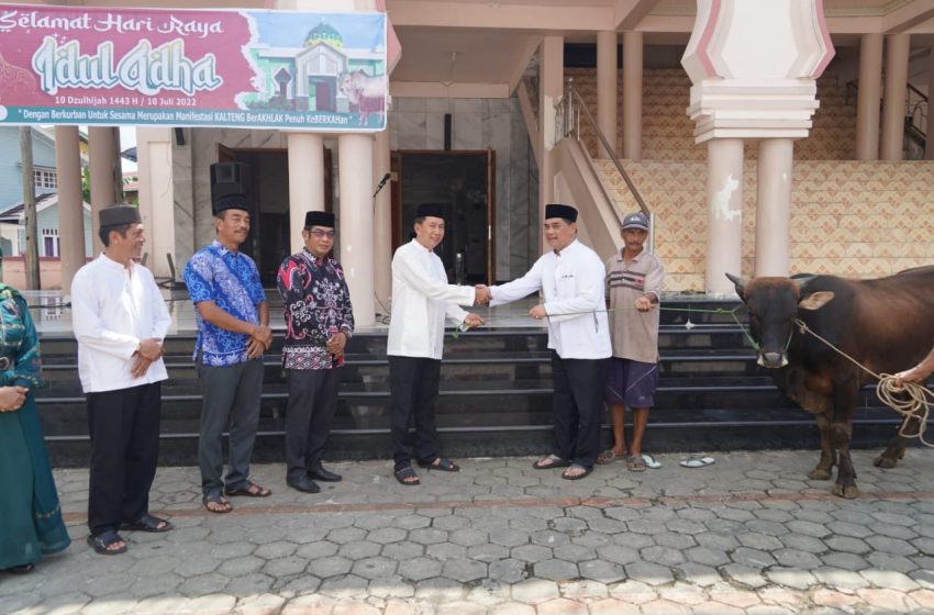  Gubernur Salurkan Hewan Kurban Sapi ke Barito Utara