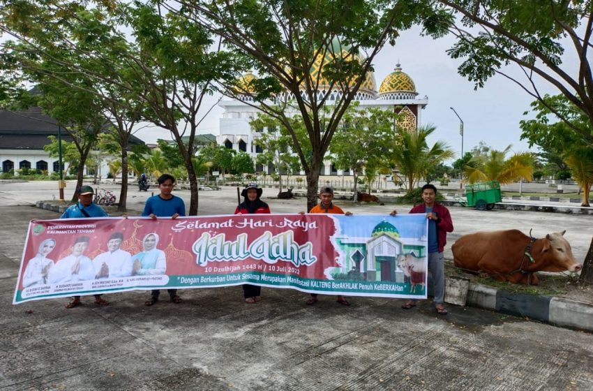  Kota Palangka Raya dapat 128 Ekor Sapi 