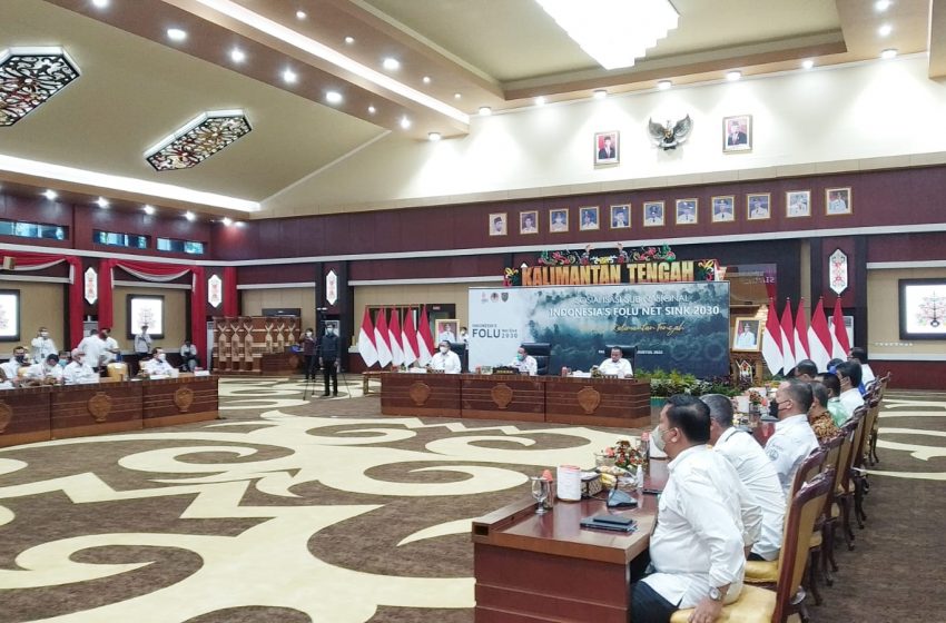  Pemprov Kalteng Dukung Forestry and Other Land Use (FOLU) Net Sink 2030
