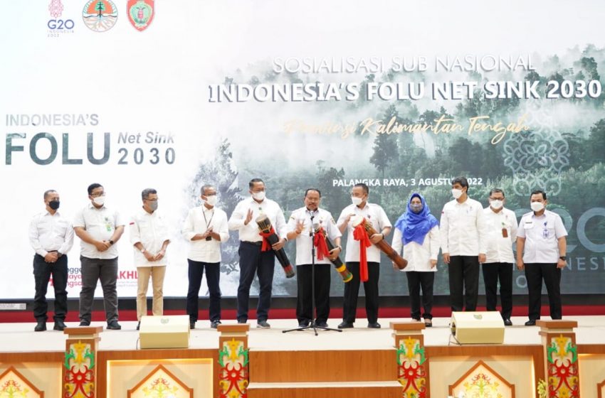  Penurunan GRK Sektor Kehutanan Diproyeksi Berkontribusi 60 Persen 
