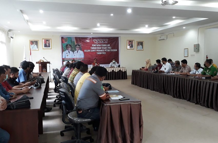  Harga TBS Kelapa Sawit Periode Juli Masih Turun 