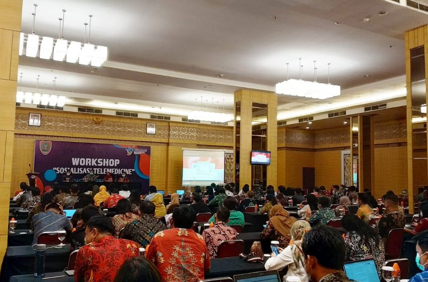  Dorong Peningkatan Pelayanan Kesehatan, Pemprov Kalteng Sosialisasikan Telemedicine