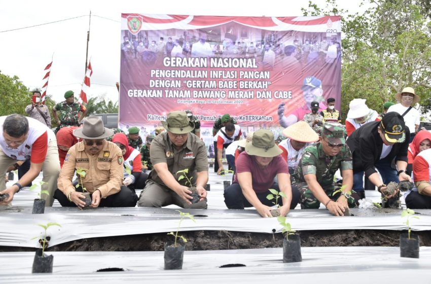  Aksi Gertam Babe Untuk Tekan Inflasi di Kalteng