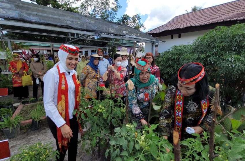  Lahan Pekarangan dan Toga Berperan Untuk Kesejahteraan Keluarga