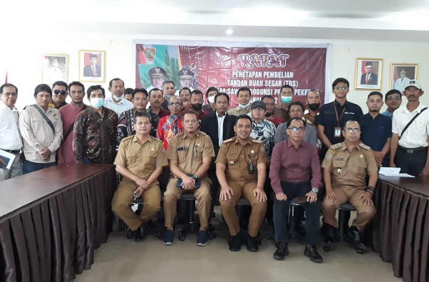  Harga TBS Sawit Periode Agustus Alami Kenaikan