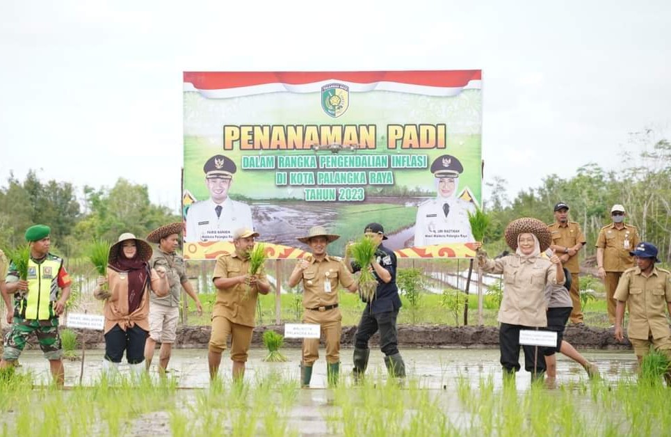 TANAM PADI : Wali Kota Palangka Raya, Fairid Naparin bersama wakilnya Hj. Umi Mastikah, pada Selasa (7/2/2023) lalu, melakukan penanaman padi di lahan pertanian di Kelurahan Pager. (Foto/Ist)