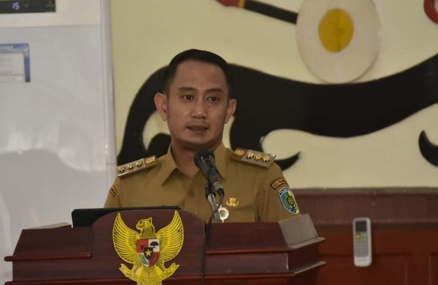 Wali Kota Palangka Raya, Fairid Naparin