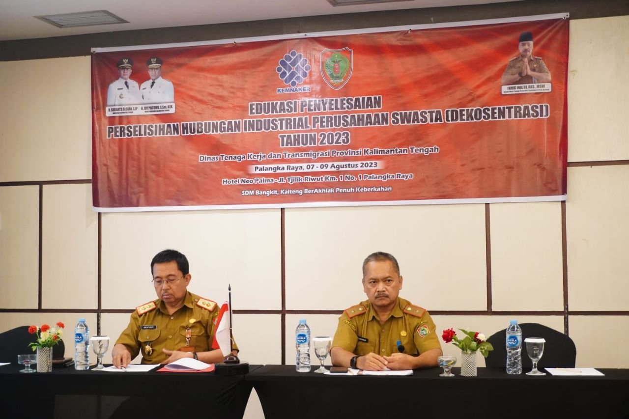 WhatsApp Image 2023 08 10 at 22.21.16