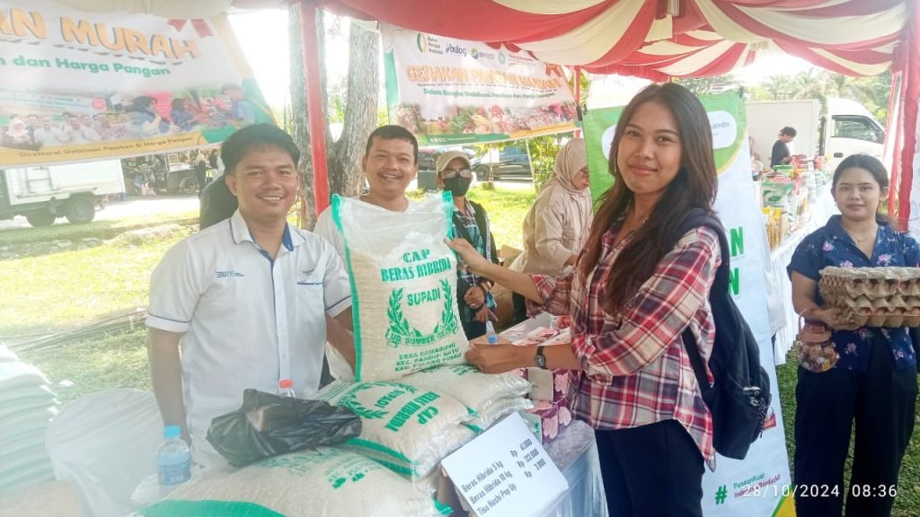 WhatsApp Image 2024 10 28 at 23.46.40