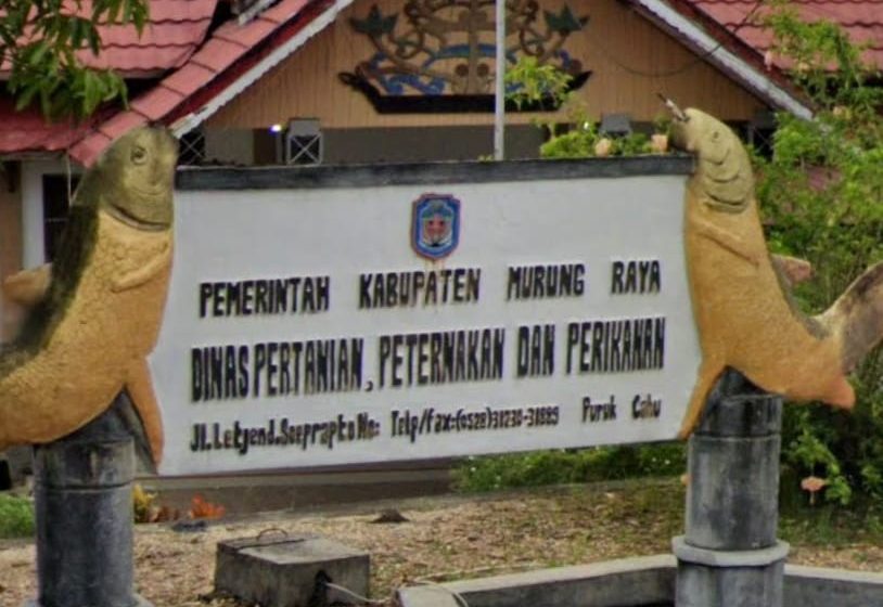  Dinas Pertanian dan Perikanan Murung Raya Bakal Kembangkan Sentra Buah Lokal