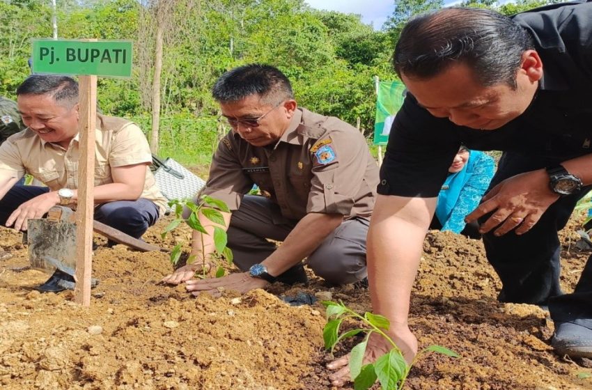  Pemkab Terus Gencarkan Gerakan Tanam Cabai, Cukupi Kebutuhan dan Atasi Inflasi