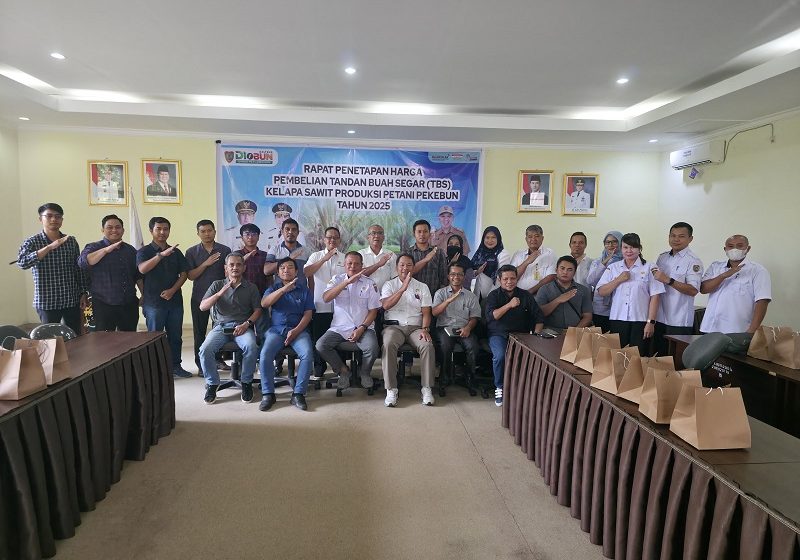 Harga TBS Naik Rp212,14, Pemerintah Minta Perusahaan Terapkan Harga Sama