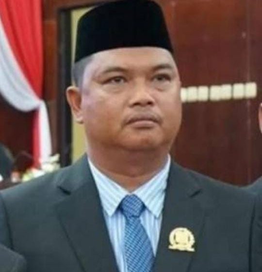  Dewan Sarankan Edukasi Masyarakat Mengenai Bermedia Sosial yang Baik
