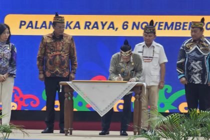 WhatsApp Image 2025 11 06 at 21.41.13