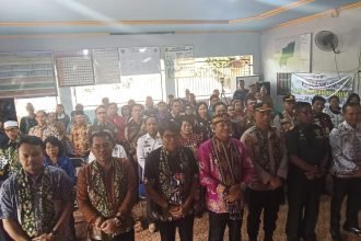 WhatsApp Image 2025 11 14 at 09.10.33 17bea047