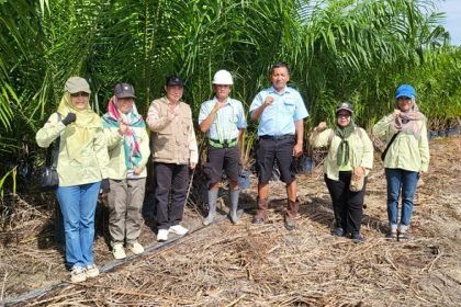 WhatsApp Image 2025 11 15 at 19.13.13