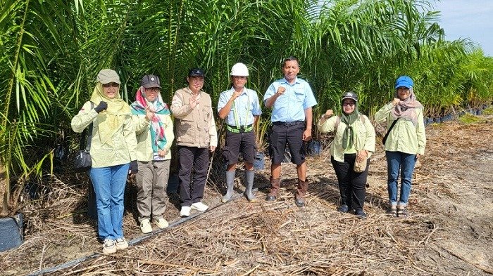 WhatsApp Image 2025 11 15 at 19.13.13