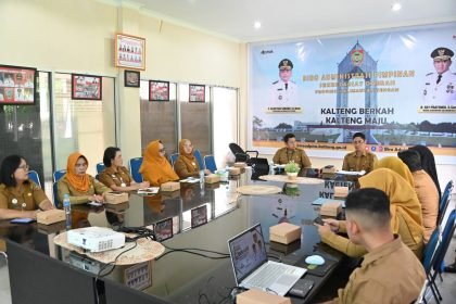 WhatsApp Image 2025 11 24 at 21.53.11