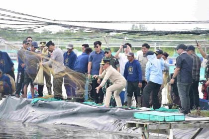 WhatsApp Image 2025 12 09 at 22.00.13