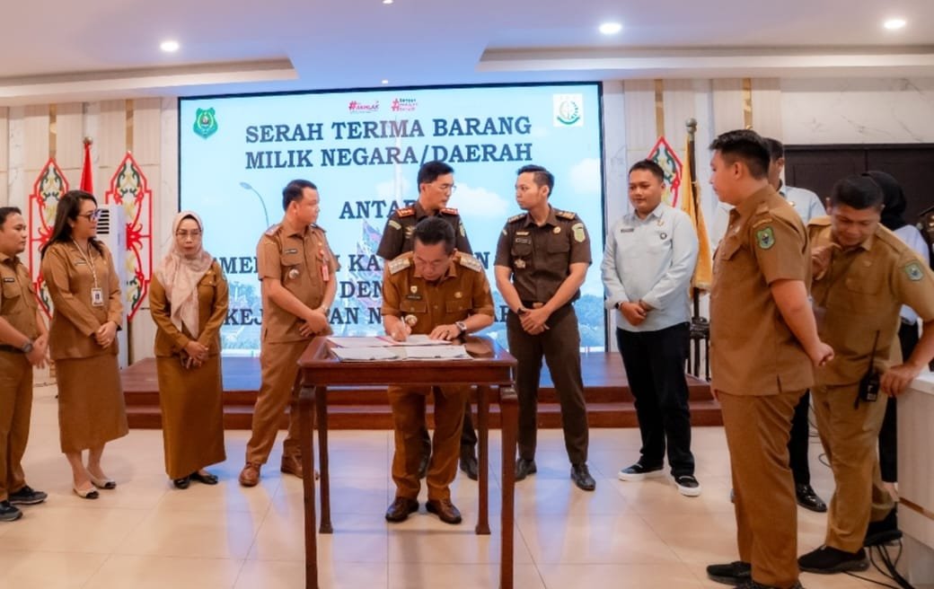 WhatsApp Image 2026 01 13 at 15.03.23 1