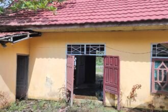 WhatsApp Image 2026 02 12 at 21.54.30