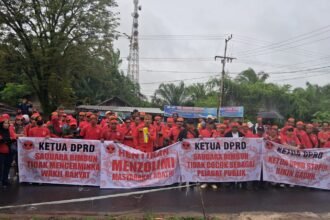 WhatsApp Image 2026 02 13 at 22.28.56