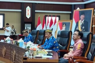 WhatsApp Image 2026 02 18 at 20.03.42