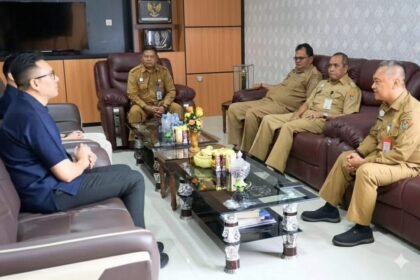 WhatsApp Image 2026 02 26 at 15.50.15