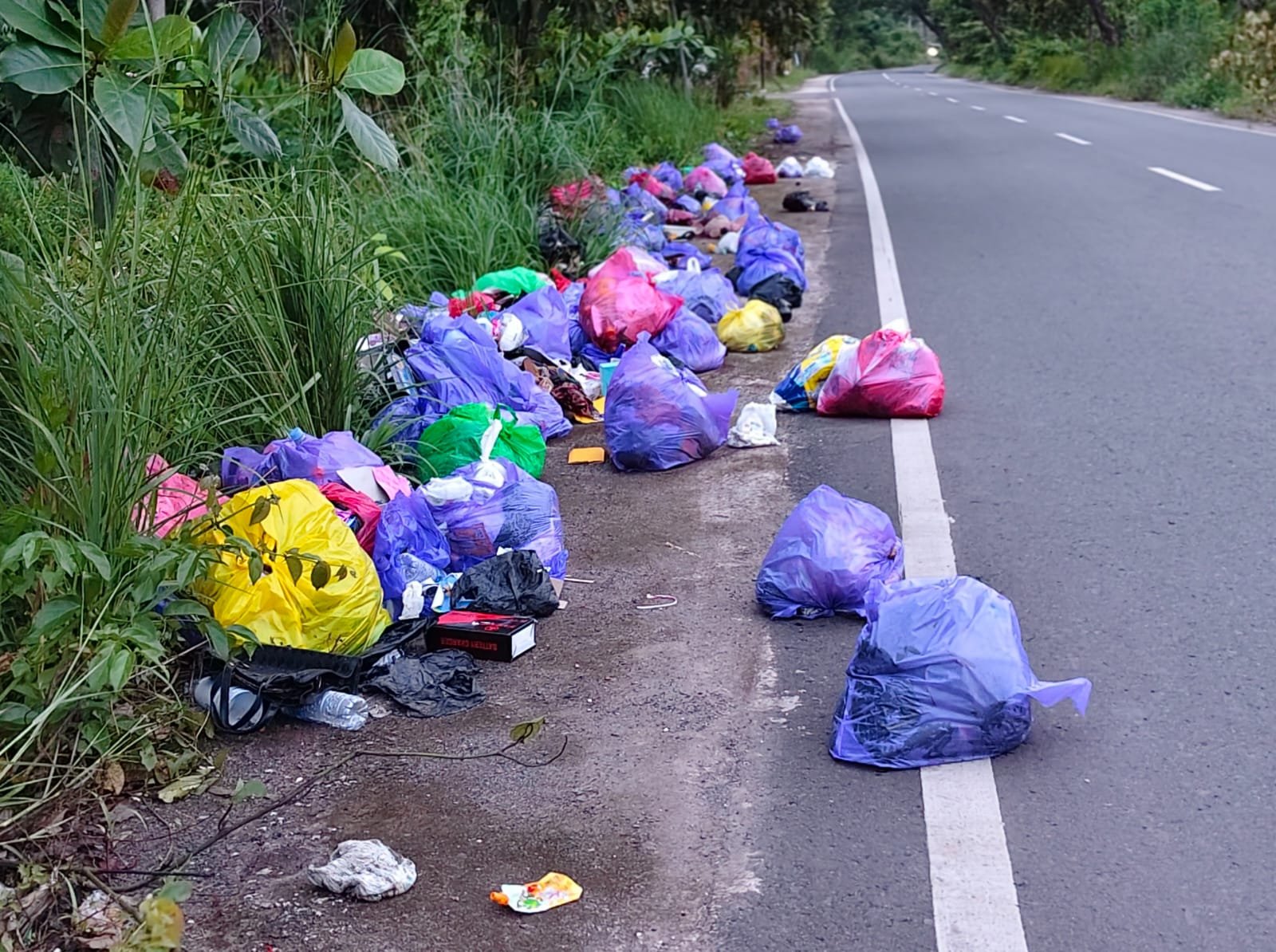 WhatsApp Image 2026 02 26 at 18.22.40