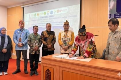 WhatsApp Image 2026 02 27 at 17.25.50