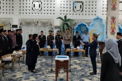 WhatsApp Image 2026 01 26 at 17.33.58