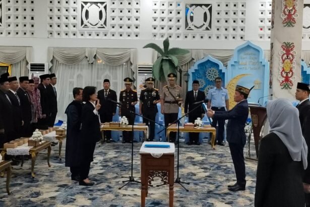 WhatsApp Image 2026 01 26 at 17.33.58