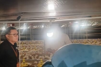 WhatsApp Image 2026 03 03 at 21.27.53