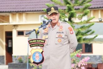 WhatsApp Image 2026 03 04 at 15.29.04