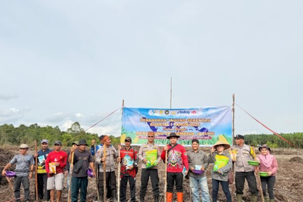 WhatsApp Image 2026 03 09 at 08.46.16