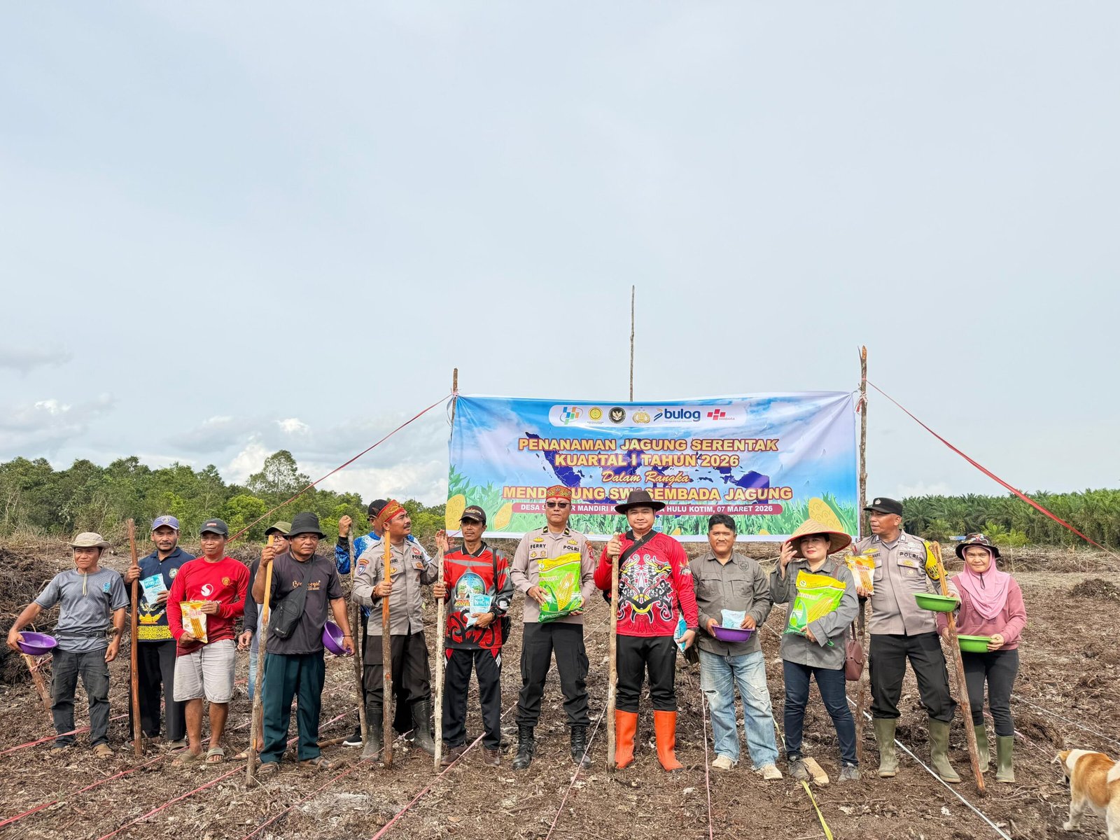 Dukung Ketahanan Pangan Nasional Polsek Cempaga Hulu Tanam Jagung: Program Kerja Sama Polri dengan Masyarakat Dalam Pengembangan Ekonomi Lokal