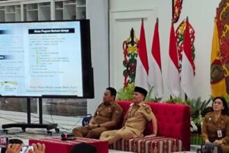 WhatsApp Image 2026 03 10 at 16.32.39