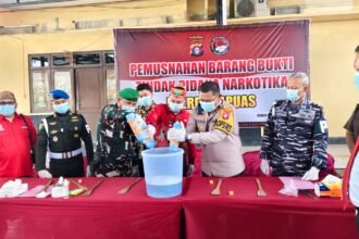 WhatsApp Image 2026 03 12 at 17.16.29