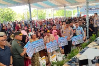 WhatsApp Image 2026 03 12 at 17.18.57