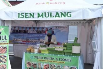 WhatsApp Image 2026 03 13 at 22.30.03