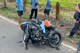 WhatsApp Image 2026 03 29 at 16.40.05 1